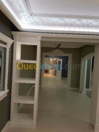 الجزائر-وسط-ديكورات-و-ترتيب-plâtre