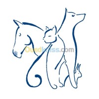 طب-و-صحة-sante-animal-بن-عكنون-الجزائر