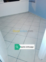 nettoyage-jardinage-poncage-lustrage-carrelage-avec-monobross-el-biar-alger-algerie