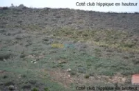 Vente Terrain Annaba Annaba
