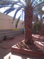 villa-vente-ghardaia-zelfana-algerie