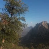 Vente Terrain Jijel El milia