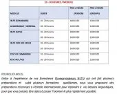 PROFESSIONAL IELTS PREPARATION