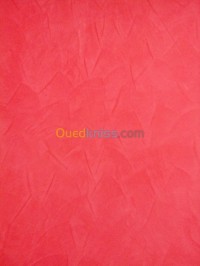 الجزائر-بئر-خادم-بناء-و-أشغال-peinture