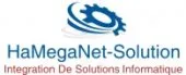 Intégration De Solution Informatique