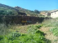 Vente Terrain Bejaia Bejaia