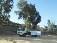 transport-et-demenagement-manutention-avec-grue-alger-centre-algerie