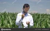 Spécialiste Plantes Vertes