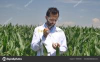تيزي-وزو-الجزائر-طب-و-صحة-spécialiste-plantes-vertes