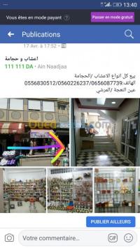 الجزائر-عين-النعجة-طب-و-صحة-بيع-الاعشاب-حجامة