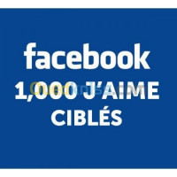 boumerdes-larbatache-algerie-publicite-communication-sponsor-facebook