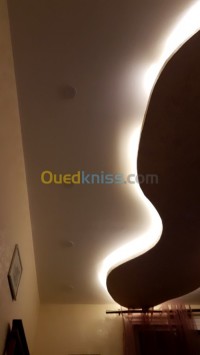 الجزائر-بلوزداد-بناء-و-أشغال-décoration-électricité