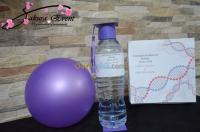 الجزائر-وسط-فعاليات-و-ترفيه-agence-evénementielle