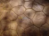 décoration intérieur et exterieur 