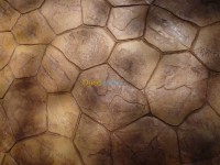 البليدة-تيزي-وزو-الجزائر-الرويبة-ديكورات-و-ترتيب-décoration-intérieur-et-exterieur