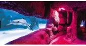 AQUARIUM AQUAPARC