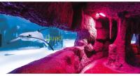 projects-studies-aquarium-aquaparc-reghaia-alger-algeria