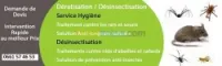 nettoyage et traitement anti nuisibles