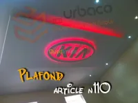 Placo platre BA13- (4) Plafond