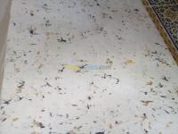بناء-و-أشغال-pentre-et-decoration-apartemon-villa-الجزائر-وسط