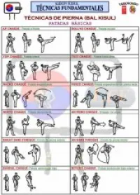 entraineur sportif taekwando