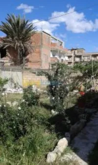 Vente Terrain Boumerdes Khemis el khechna