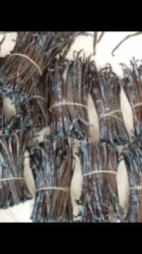Vente gousse de vanille 