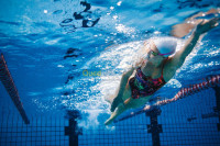 alger-centre-algerie-ecoles-formations-cours-de-natation