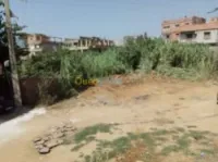 Vente Terrain Blida Meftah
