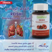  Ganoderma Reishi .(الفطر الريشي (ملك الأعشاب