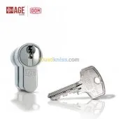 Cylindres Organigramme