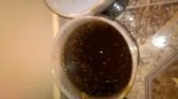 عسل حر 