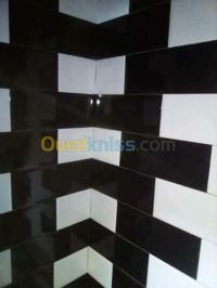الجزائر-وسط-بناء-و-أشغال-carleur