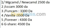 معسكر-سيق-الجزائر-إشهار-و-اتصال-سيرفرات-فاتحة-لكل-القنوات-الرياضية
