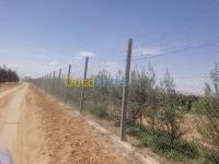 عنابة-الجزائر-بناء-و-أشغال-بيع-الأعمدة-تسييج-الأراضي