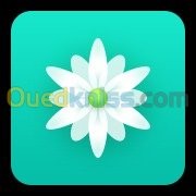 الجزائر-باب-الزوار-بناء-و-أشغال-خردوات