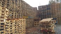 alger-reghaia-algerie-industrie-fabrication-de-palettes-en-bois