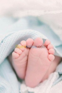 الجزائر-القبة-مدارس-و-تكوين-nourrice