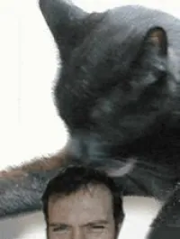 amenagement et realisation