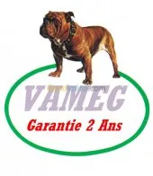  géométrie parallelisme corghi   