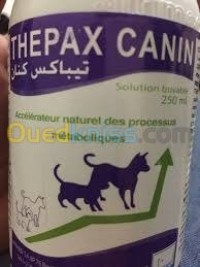 قسنطينة-الخروب-الجزائر-طب-و-صحة-vétérinaire