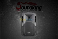 Enceinte SOUNDKING FPD15AD