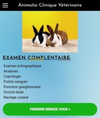 البليدة-الجزائر-طب-و-صحة-clinique-vétérinaire