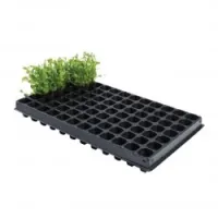 PLATEAU DE GRAINE