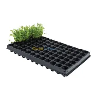 PLATEAU DE GRAINE 