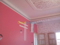 الجزائر-وسط-بناء-و-أشغال-peintre