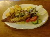 restauration gastronomie 