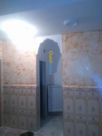 الجزائر-وسط-بناء-و-أشغال-peinture