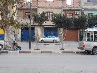 البليدة-بوفاريك-الجزائر-فيلا-byaa-fyla-alblyd-bofaryk