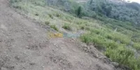 Vente Terrain Jijel Texenna